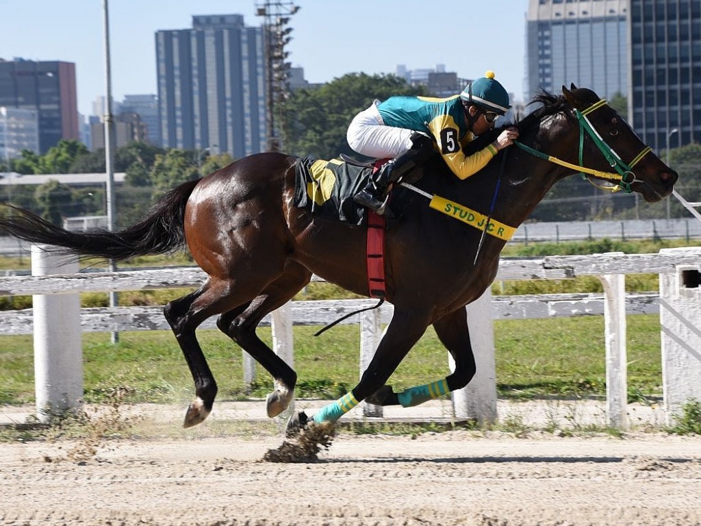Foto: No Handicap Especial Geraldo Moacyr Bordon - Grupo PHD, melhor para Great-Ug