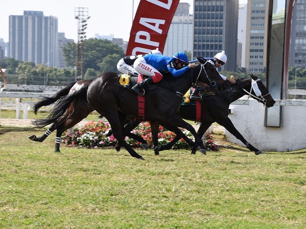 Foto: No quilômetro, Last Sum conquista batismo clássico