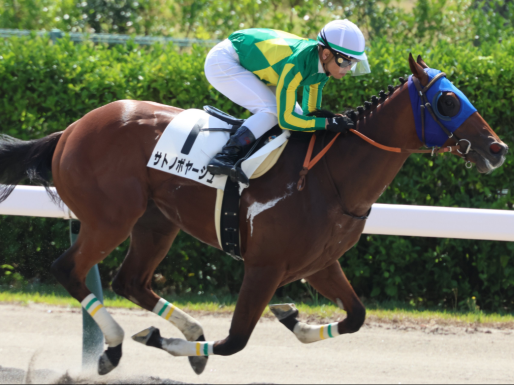 Foto: No Japão, filho de Jolie Olímpica vence eliminatória por 10 corpos