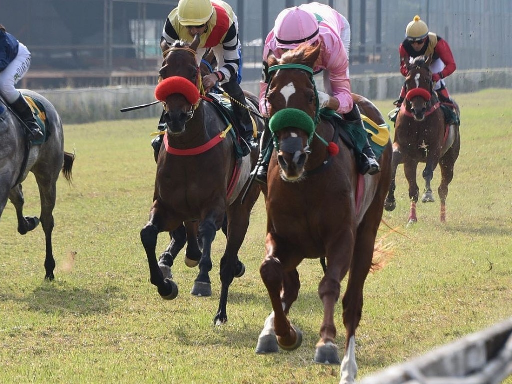 Foto: Na trilha do GP JCSP, Indiana Star vence mais uma