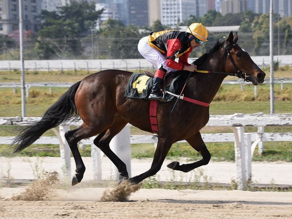 Foto: Shallow Now confirma no GP Pres. Roberto Alves de Almeida (G3)