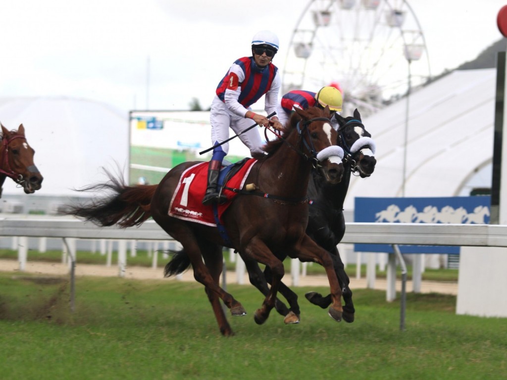 Foto: Nova Déli comanda dobrada do Araras no GP Duque de Caxias (G2)