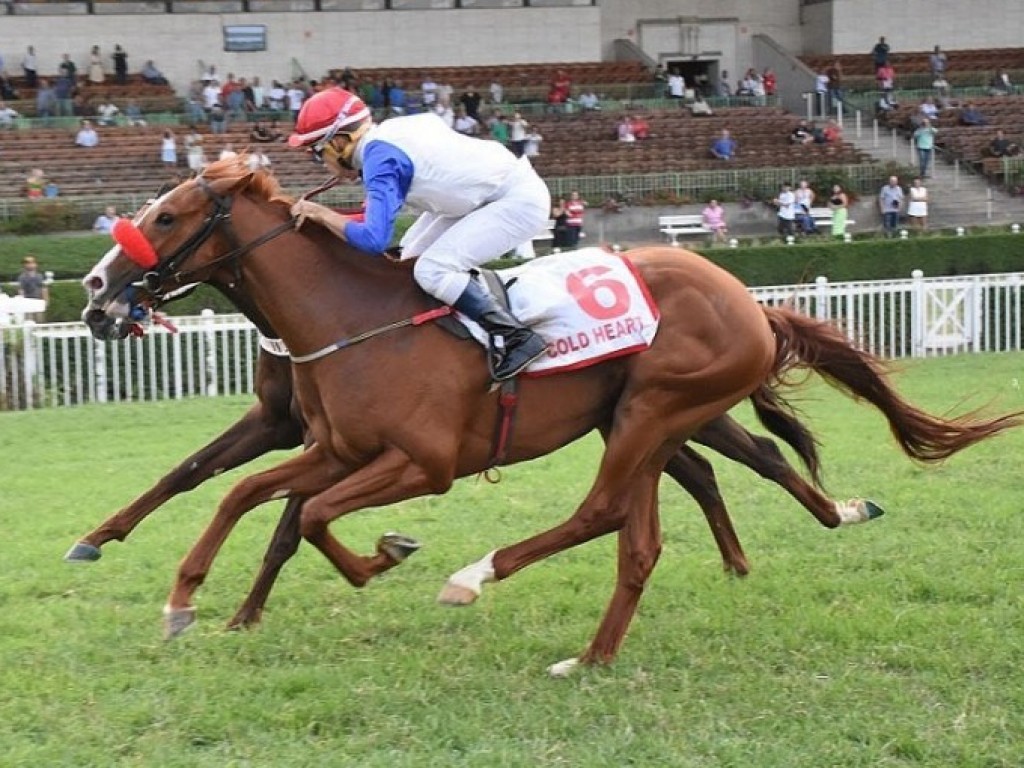 Foto: No domingo, Cold Heart representará o Brasil no Grosser Preis von Baden (G1)
