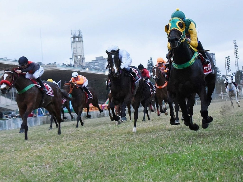 Foto: A Copa Japão de Turfe (G3) é de Bubble O'Gold