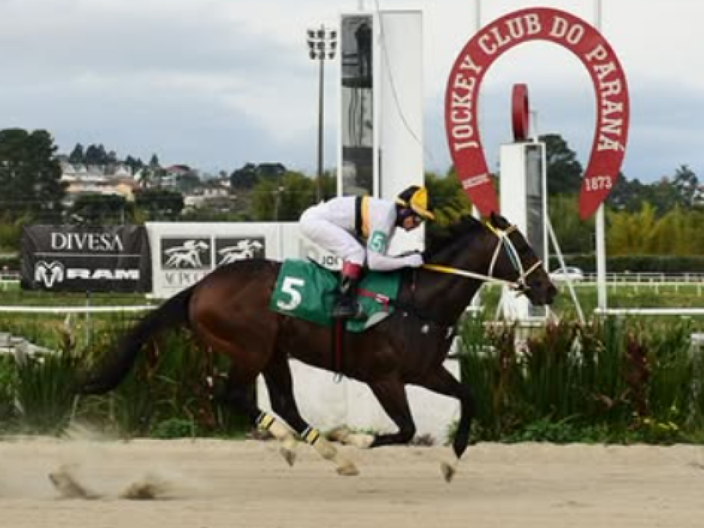 Foto: Curitiba: Nemo vence a Prova Especial Raul Baptista Trombini - Haras Curitibano