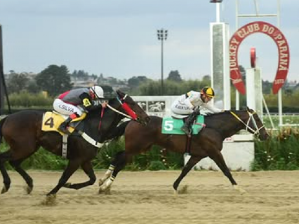 Foto: Nemo conquista a Copa ABCPCC Regional (L)