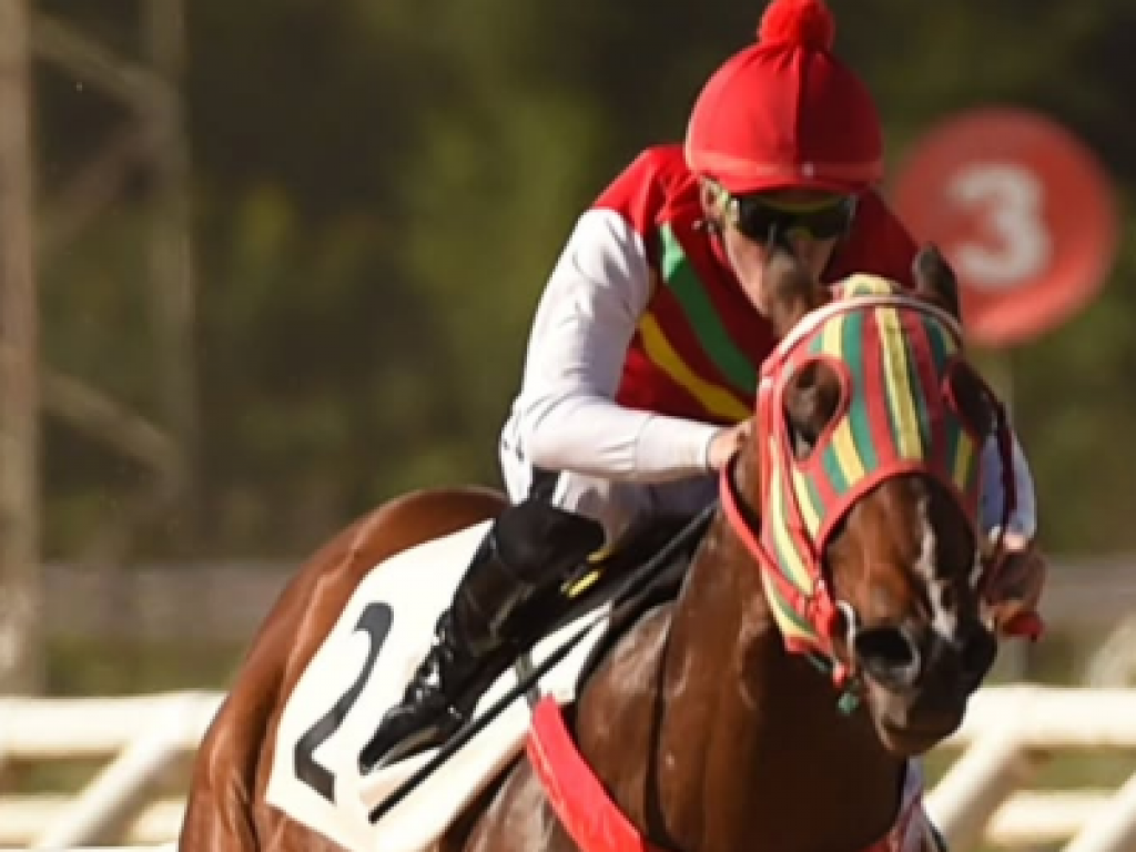 Foto: Olieffuzip vence o Clássico Presidente Antônio Demarchi Chula