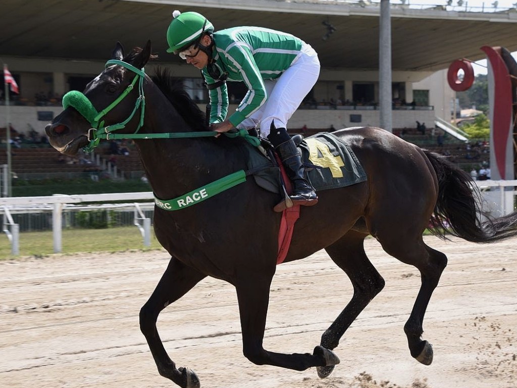 Foto: Loyalty confirma no Handicap Especial Vicente Romano