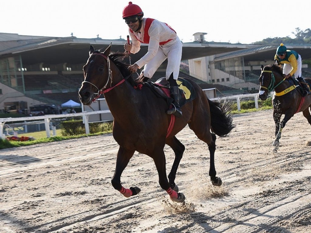 Foto: No Clássico Nelson de Almeida Prado (L), melhor para Gold Tiger