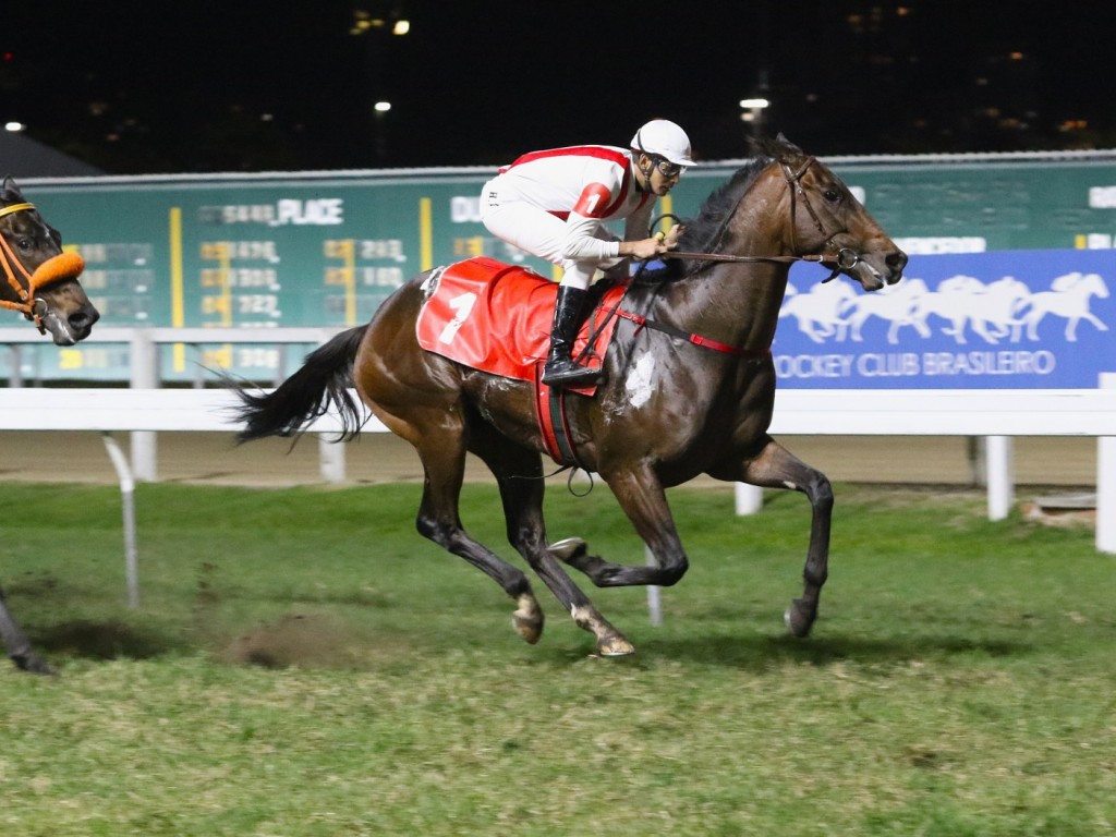 Foto: Bet You Can vence a Prova Especial Redattore