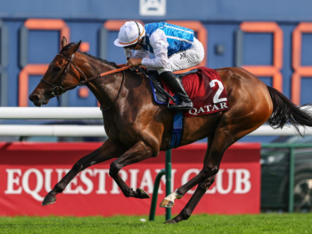 Foto: Em Longchamp, fêmeas postulam o favoritismo ao Prix l'Arc de Triomphe (G1)