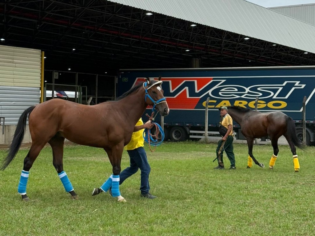 Foto: GP Latinoamericano: representantes peruanos já estão no Hipódromo da Gávea