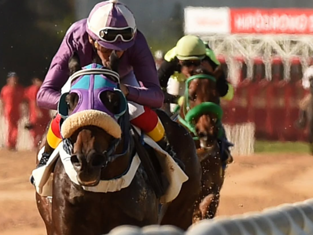 Foto: Intimidator levanta o Grande Prêmio Derby Riograndense