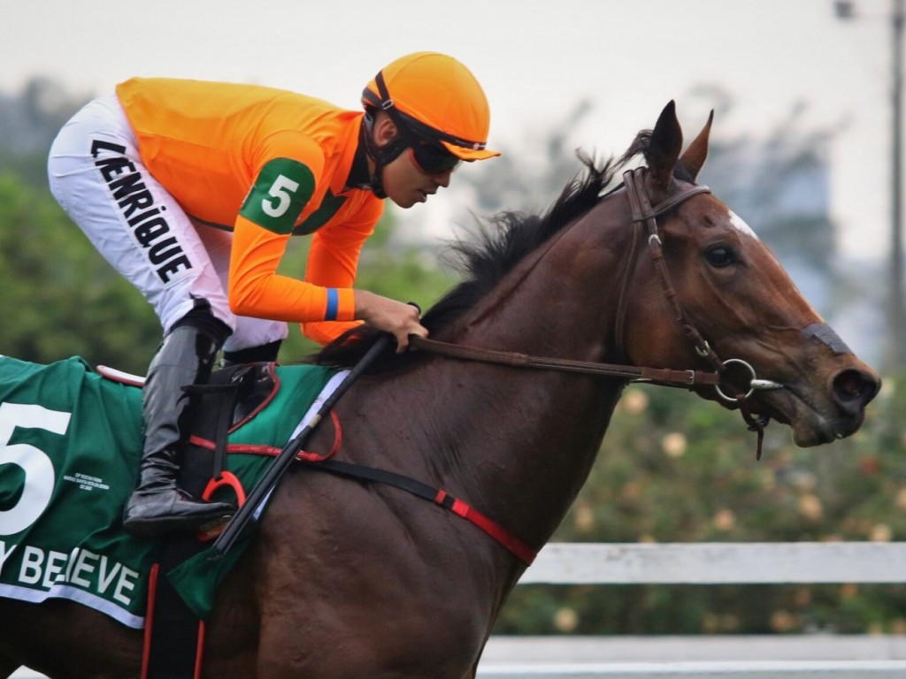 Foto: Only Believe confirma favoritismo no GP Rocha Faria (G2) - Haras Santa Rita da Serra