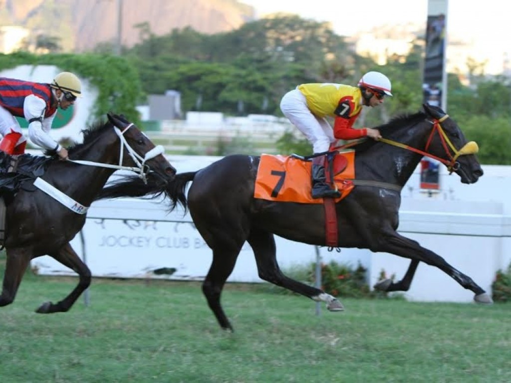 Foto: Silence Is Gold agradece aumento da distância e vence listed race