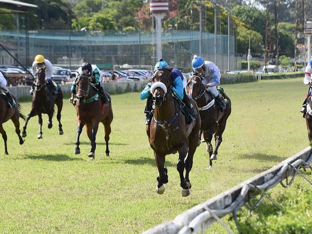 Foto: No Problem conquista o Handicap Especial  C.P.O.R./São Paulo