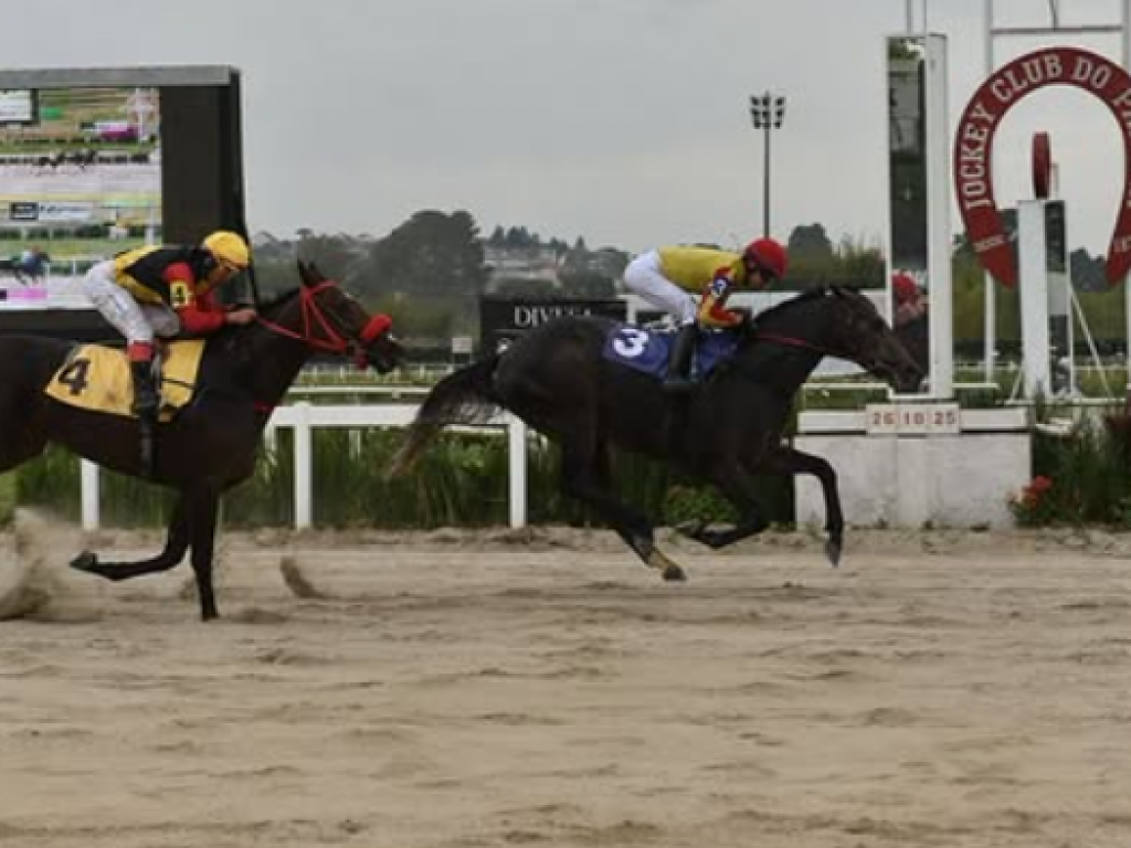 Foto: De volta à areia, Humble Hero vence a preparatória para o GP Paraná