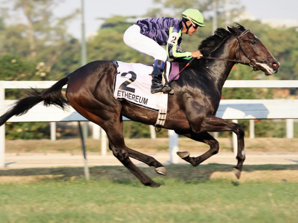 Foto: Com retrospecto de luxo, Ethereum tem campanha encerrada