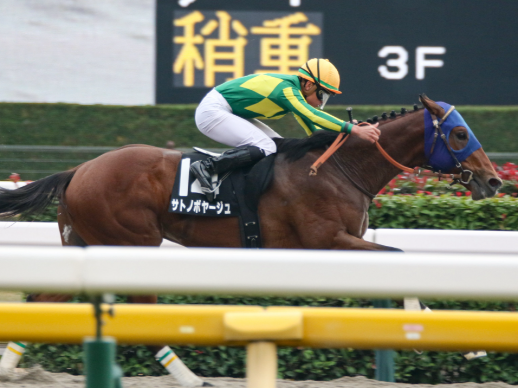 Foto: Japão: filho de Jolie Olímpica volta a impressionar e vira promessa para 2026