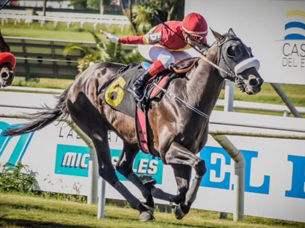 Foto: Mais de Maroñas: In-Verso e Dua Lipa dominam seus clássicos
