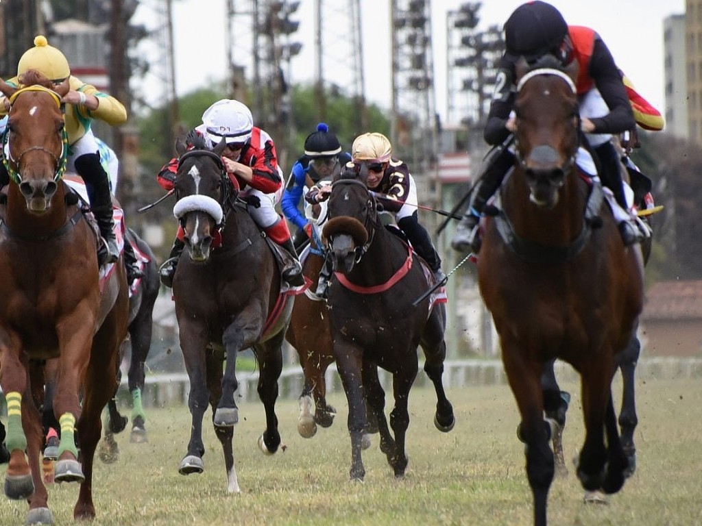 Foto: A caminho de Hong Kong, Star do Iguassu é mais um exportado da "tríplice coroa"