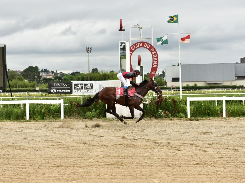 Foto: Curitiba: Rafa do Iguassu e Riviera do Iguassu vencem testes para "milha" e "velocidade"