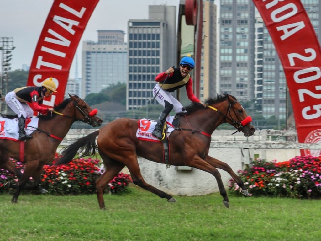 Foto: Perfect Plastic conquista seu merecido G1 no Grande Prêmio Diana