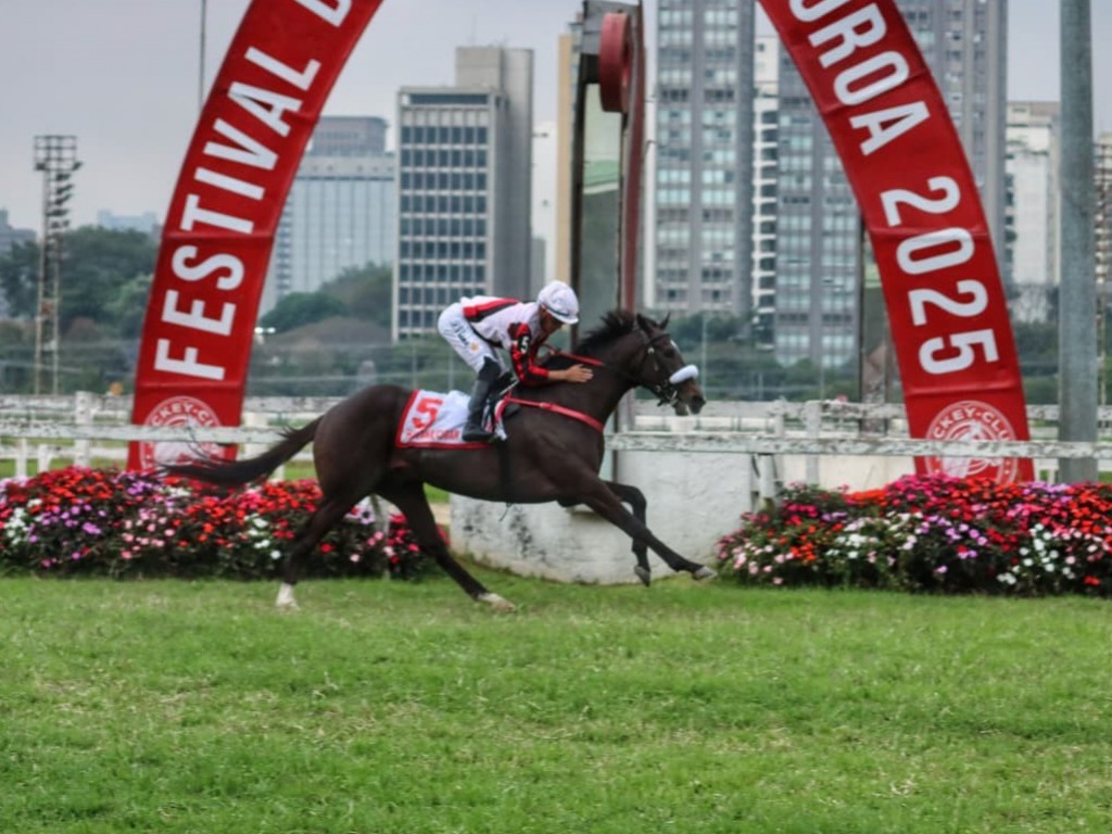 Foto: Em exibição de luxo, Havana Cigar levanta o GP Derby Paulista (G1)