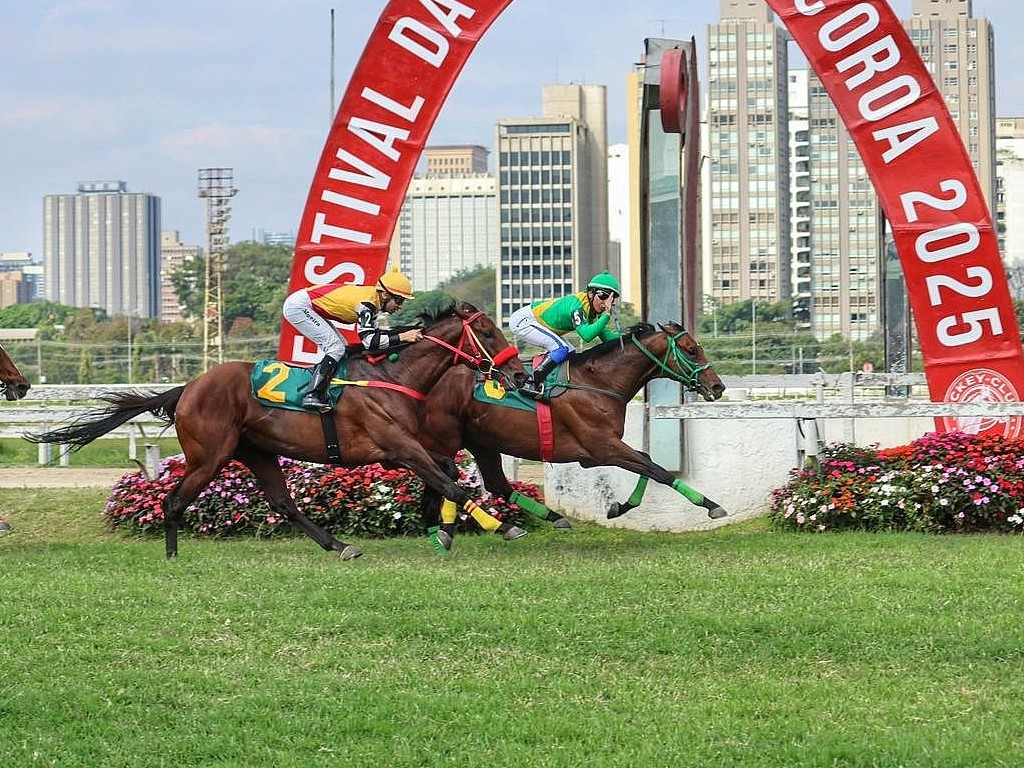 Foto: Gesto Nobre ratifica dotes de fundista e supera Rick The Great