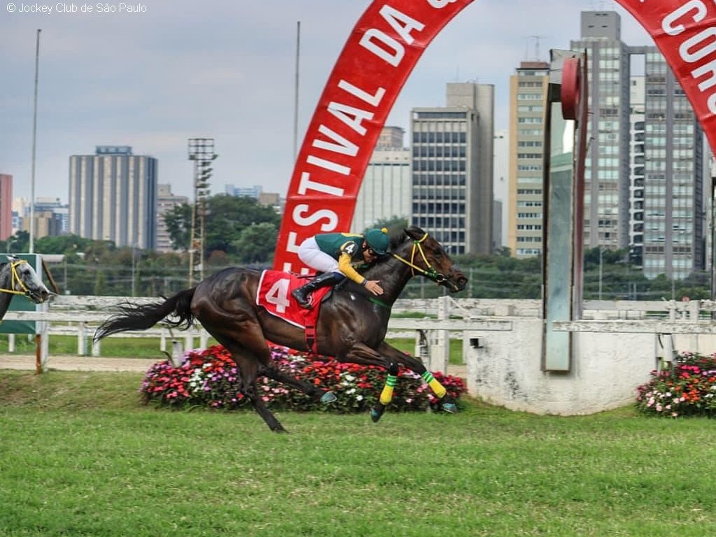Foto: De volta ao quilômetro, Piu Carina brilha no GP Proclamação da República (G2)