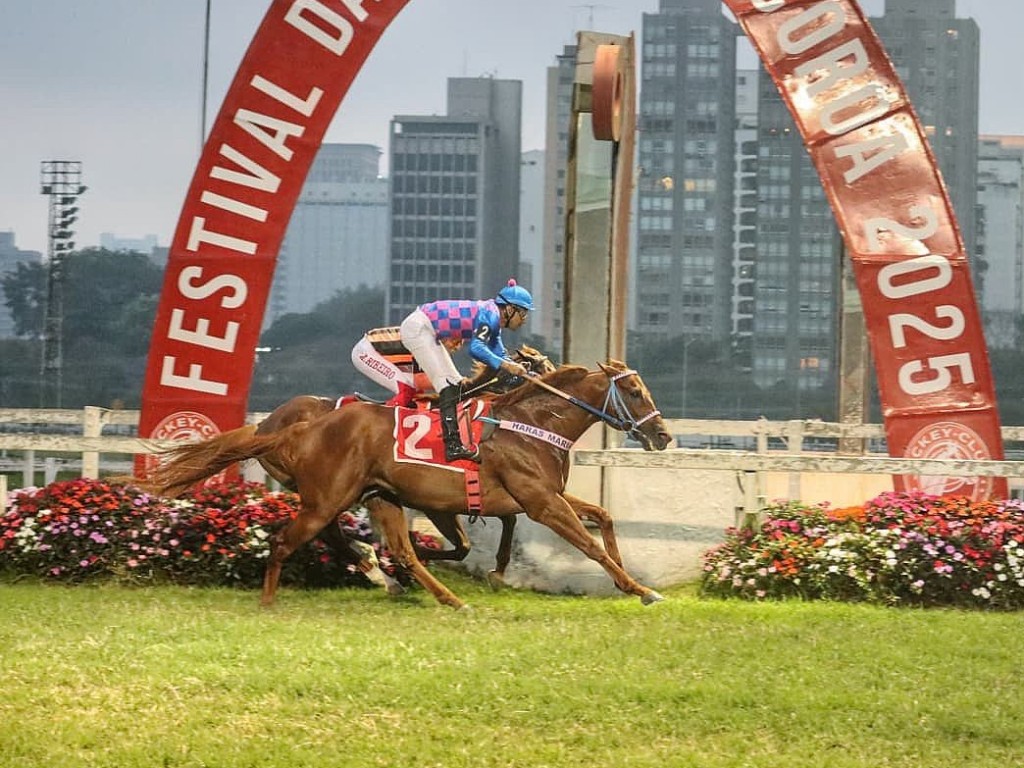 Foto: For Export confirma favoritismo e garante o "bi" do GP Governador do Estado (G2)