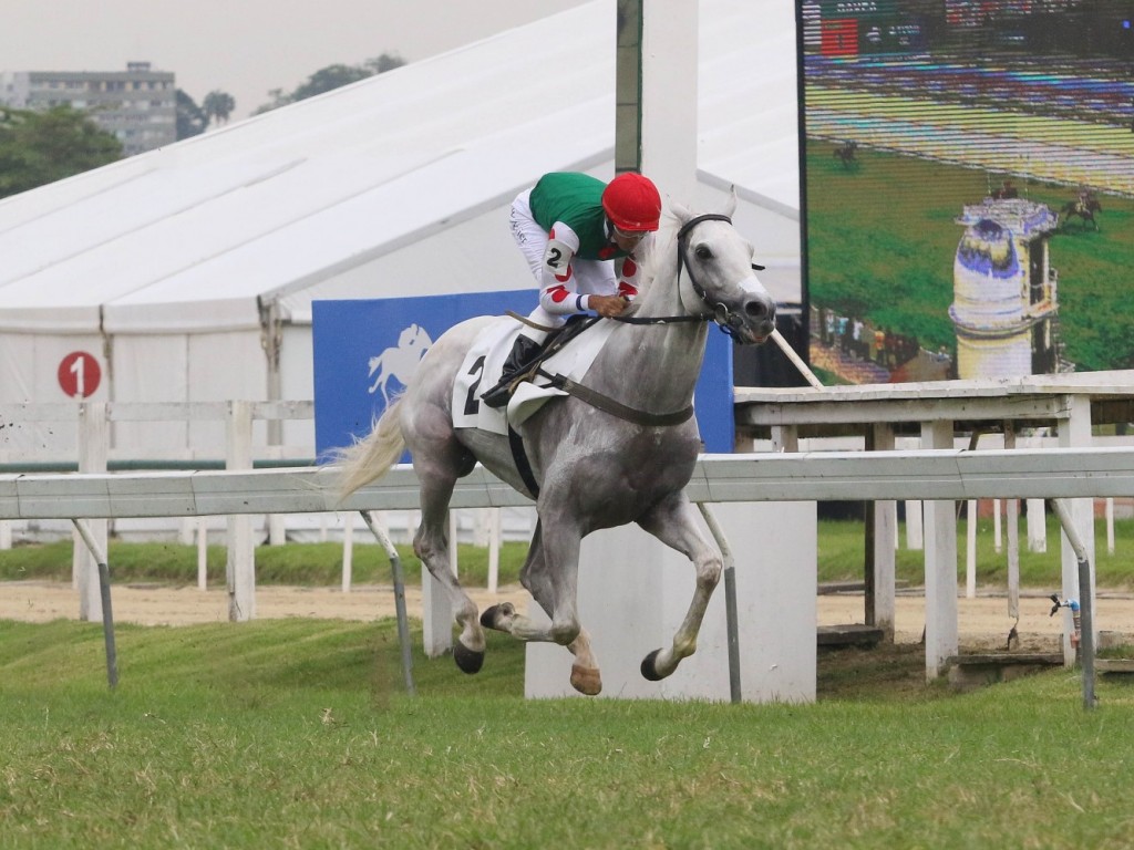 Foto: Fácil, fácil: Galo White levanta o Grande Prêmio Almirante Tamandaré (G2)