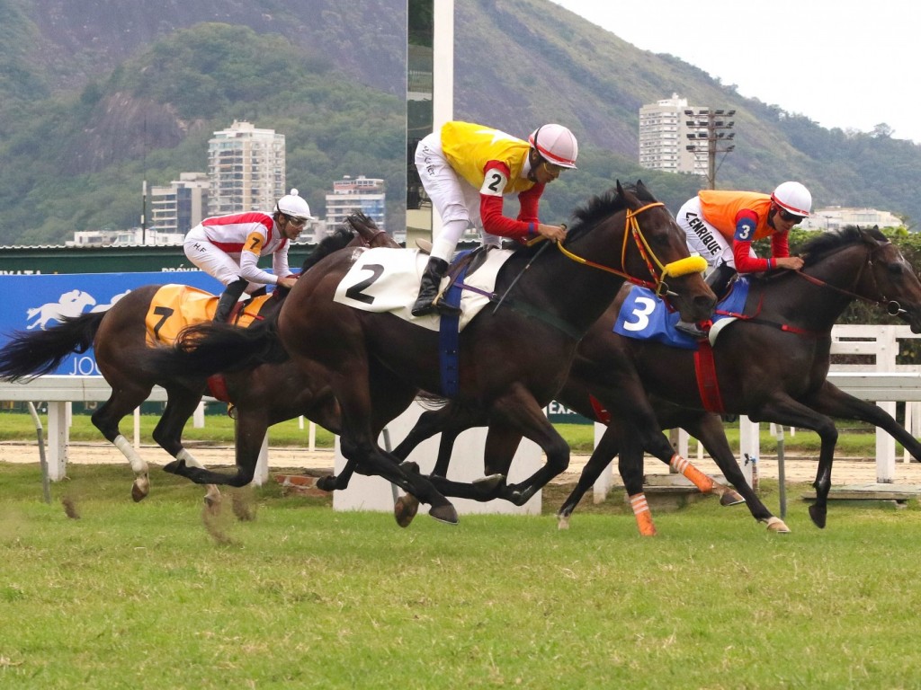 Foto: Quill Wild esnoba fator reaparecimento e permanece invicto