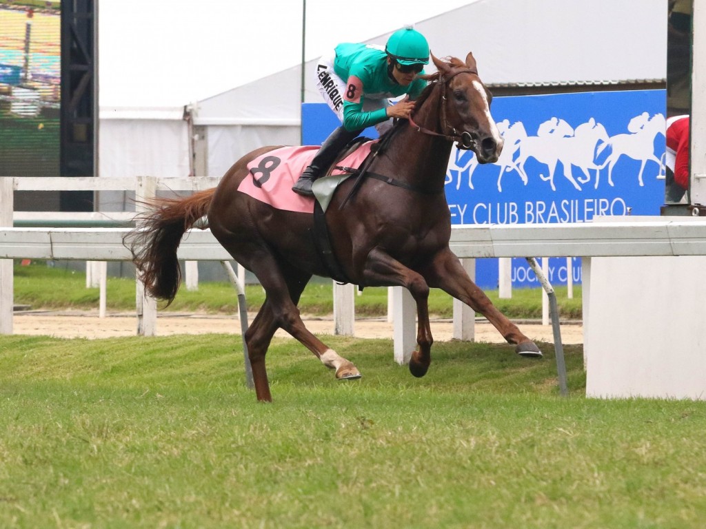 Foto: Le Gonfalon conquista batismo clássico no "Costa Ferraz"