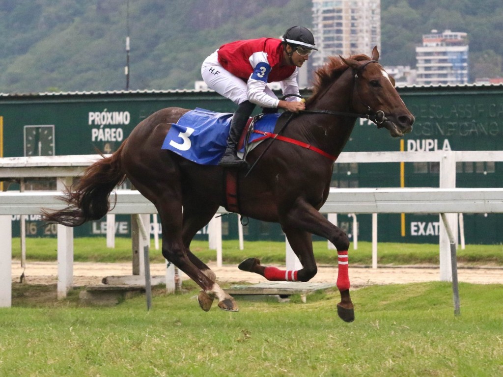 Foto: O Clássico São Francisco Xavier (L) é de Wall Street