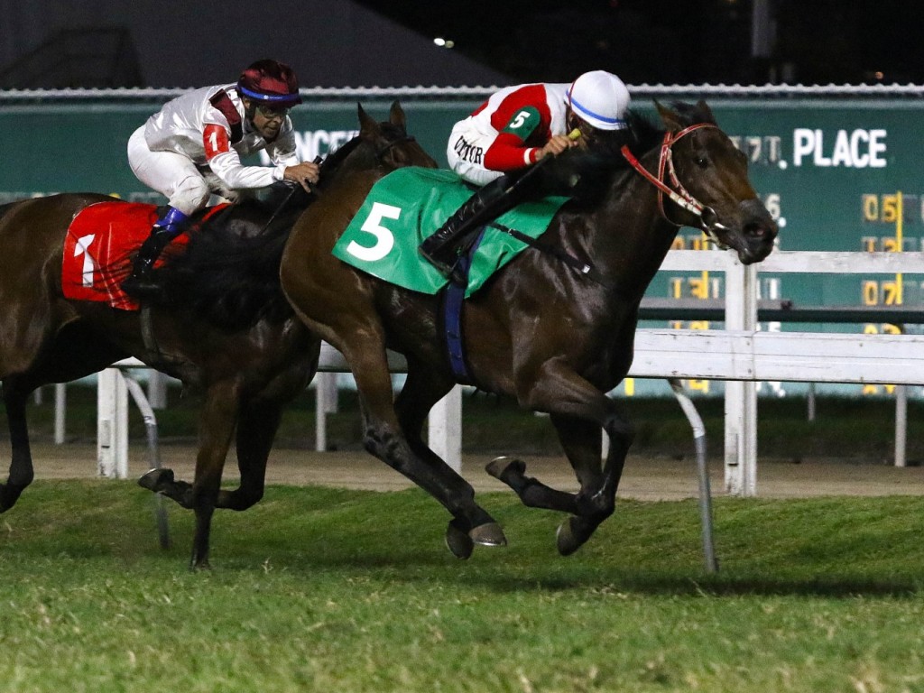 Foto: Em evolução, Tropicália fatura o Grande Prêmio Octavio Dupont (G3)