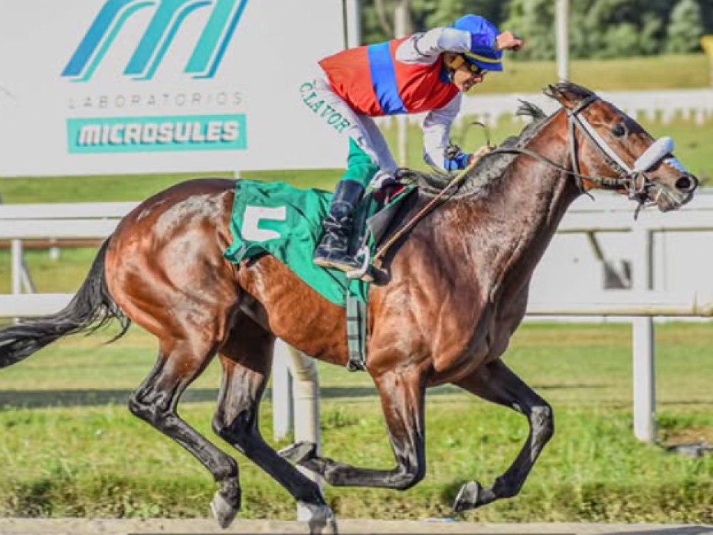 Foto: Maroñas: Truco e Flor e Herr Kitten dominam os clássicos do final de semana