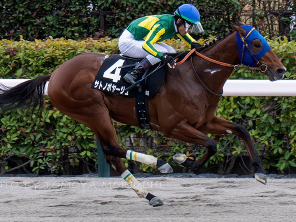 Foto: Jap&atilde;o: filho de Jolie Ol&iacute;mpica vence stakes e soma pontos para o Kentucky Derby