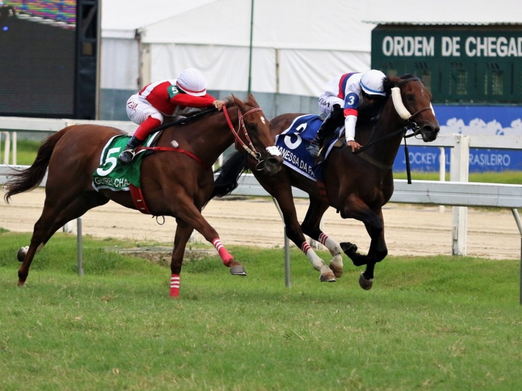 Foto: Vanessa da Pata larga e acaba no Grande Pr&ecirc;mio Oswaldo Aranha (G2)