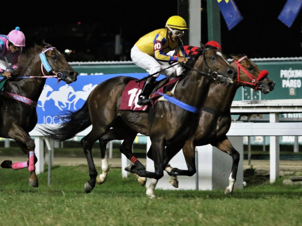 Foto: Atropelada certeira de Bar&atilde;o da Lagoa no GP Frederico Lundgren (G3)