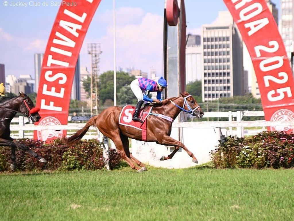 Foto: Em choque de gera&ccedil;&otilde;es, For Export domina a Copa dos Campe&otilde;es (G2)
