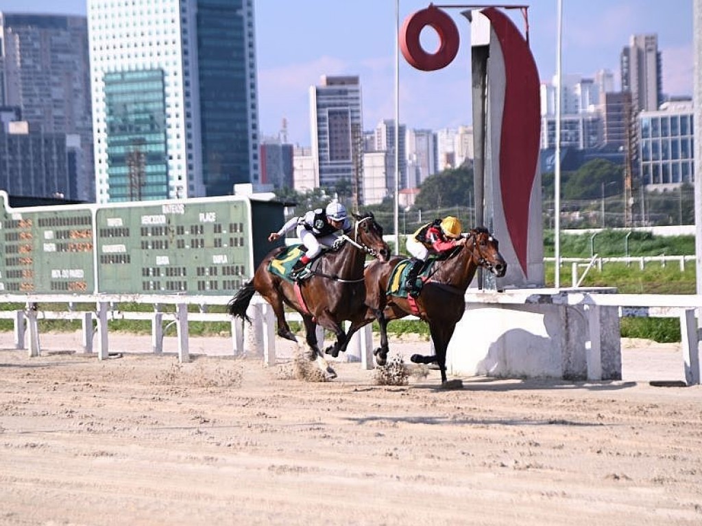 Foto: Em chegada acirrada, Tempest Shadow supera Shallow Now