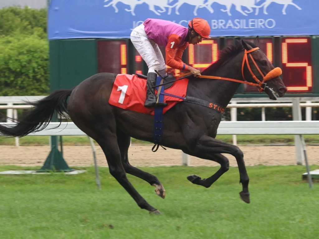 Foto: Em evolu&ccedil;&atilde;o, Awesome Amour demonstra forma para a tr&iacute;plice cora