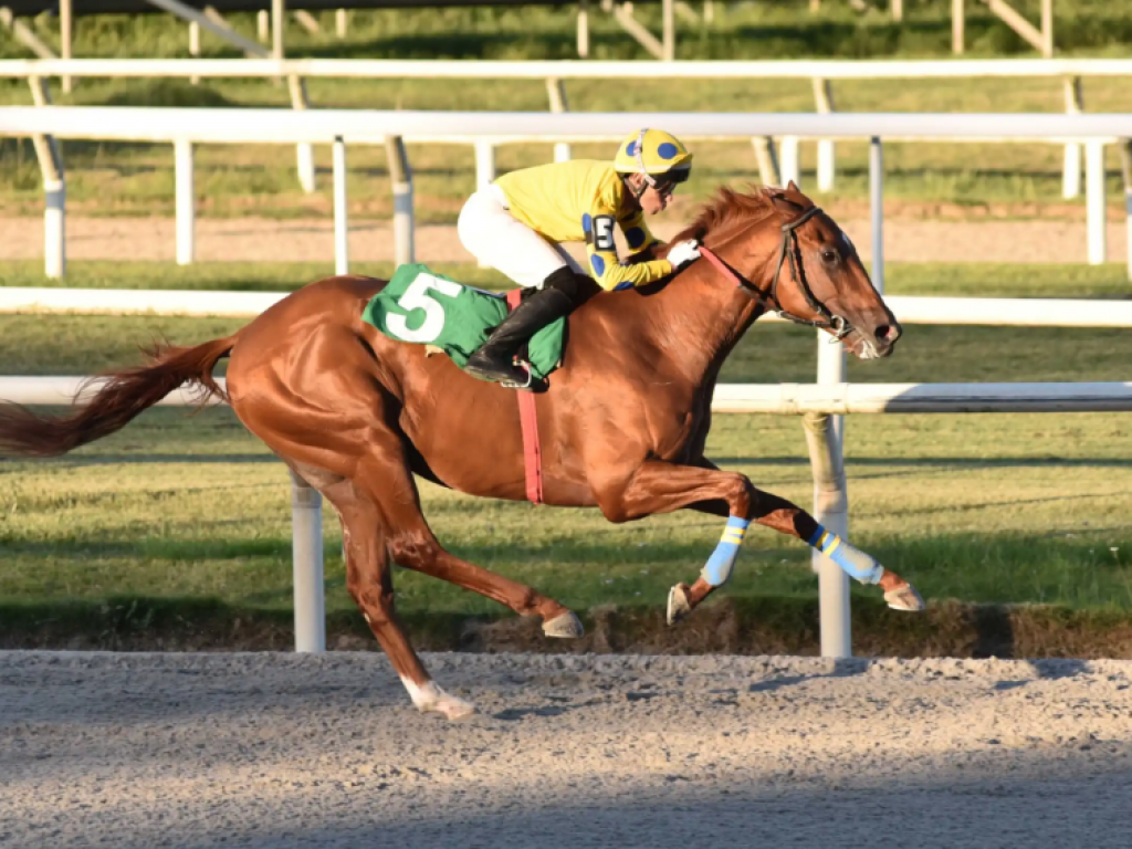 Foto: For&ccedil;a rara - e absoluta - no "Ram&iacute;rez", Obstacle corre em busca da consagra&ccedil;&atilde;o