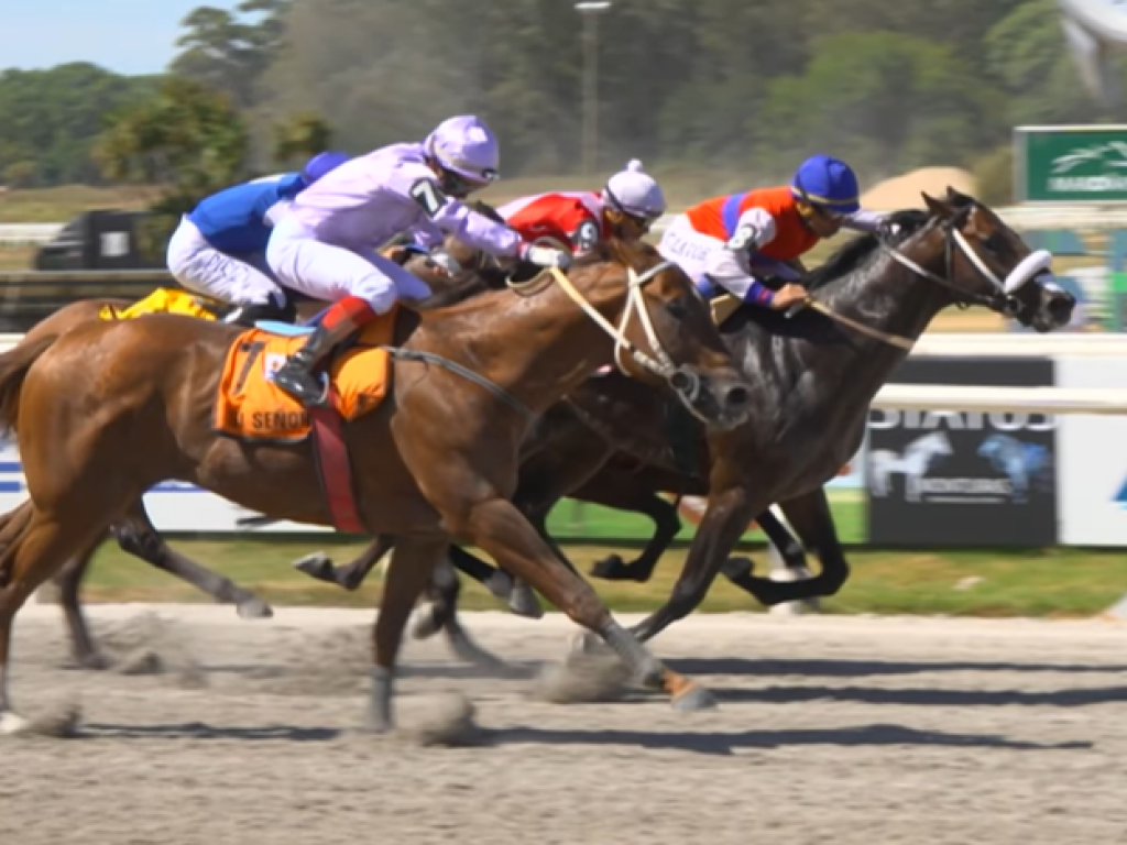 Foto: Em final de emo&ccedil;&atilde;o, Herr Kitten supera Si Se&ntilde;or no "Pi&ntilde;eyr&uacute;a"
