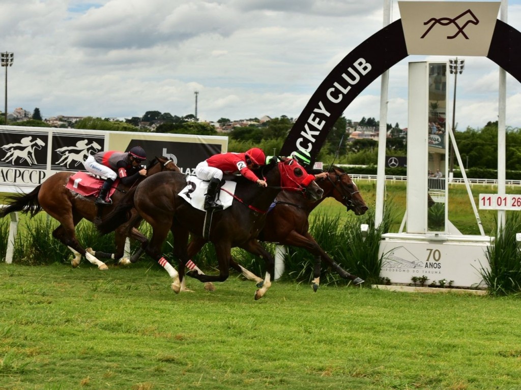 Foto: Curitiba: Agapanto Salto reaparece com vit&oacute;ria
