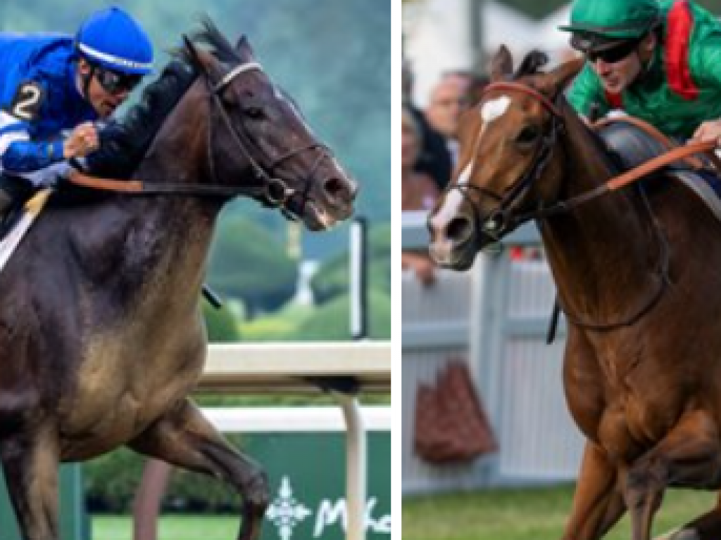 Foto: Sovereignty e Calandagan: os reis do hemisf&eacute;rio norte