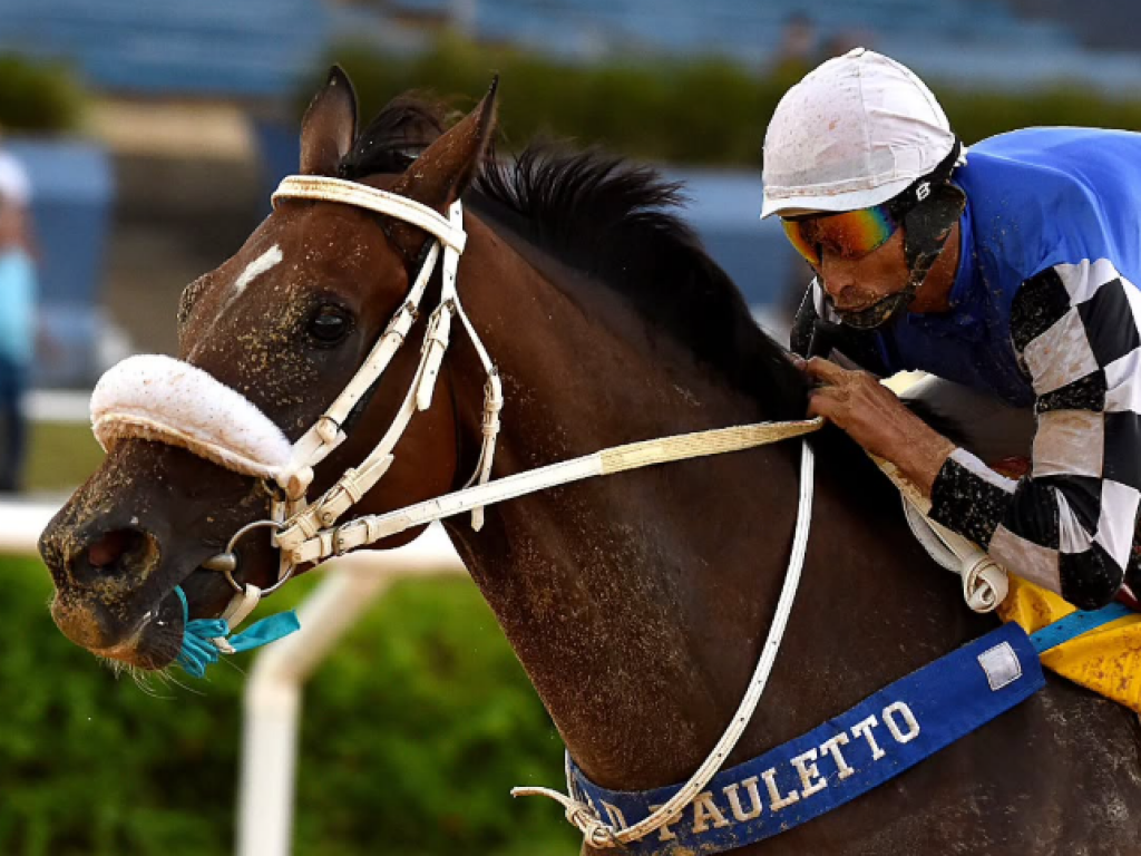Foto: Cristal: em recorde, Gulf do Jaguaret&ecirc; vence a sexta consecutiva