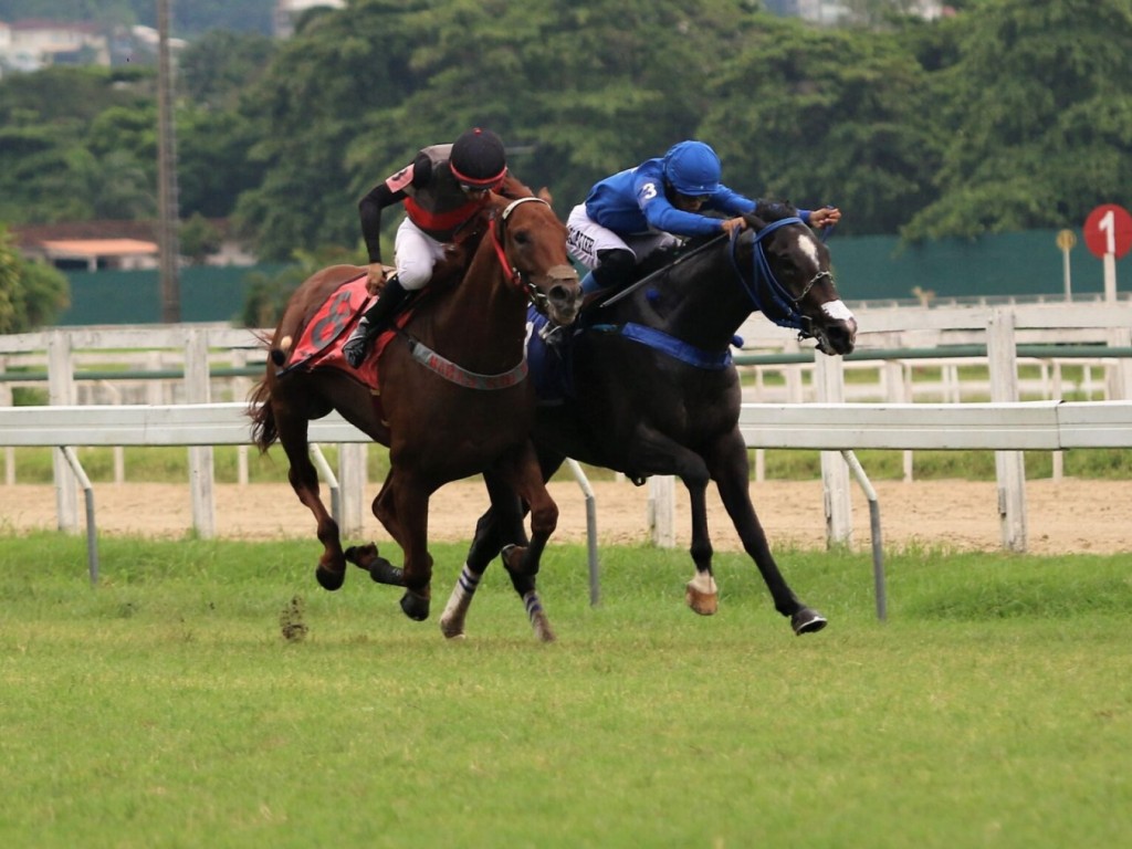 Foto: Em final de emo&ccedil;&atilde;o, Olympic Oman supera Tyrion