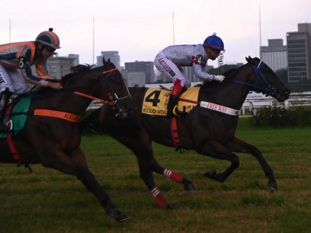 Foto: Ello Volare vence a segunda seletiva "paulista"